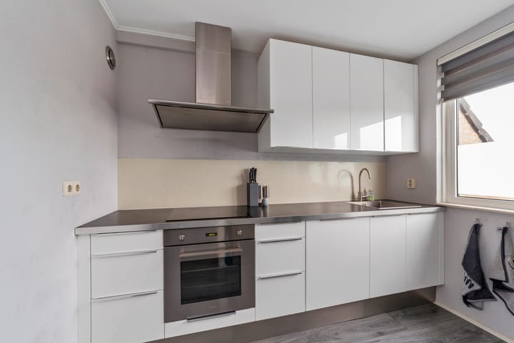 Foto 6 van Penningkruid 9