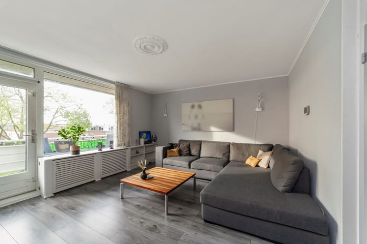 Foto 9 van Penningkruid 9