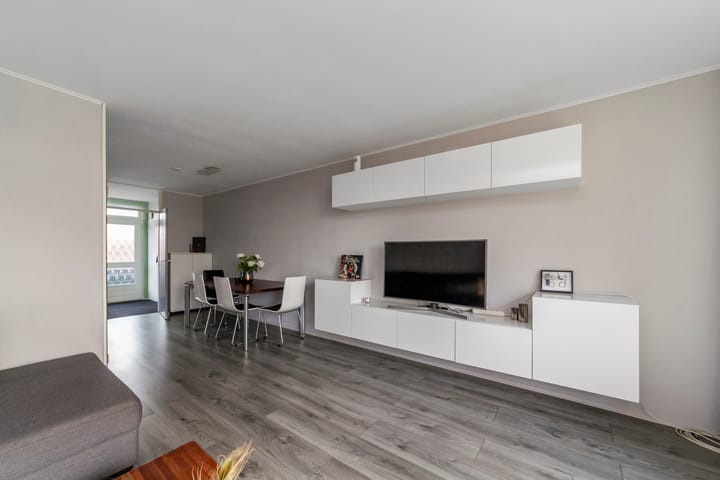 Foto 11 van Penningkruid 9