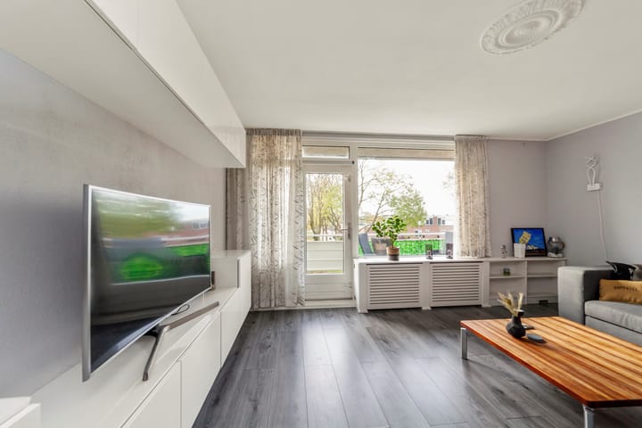 Foto 12 van Penningkruid 9