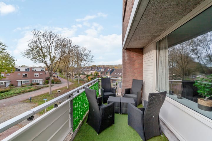 Foto 13 van Penningkruid 9