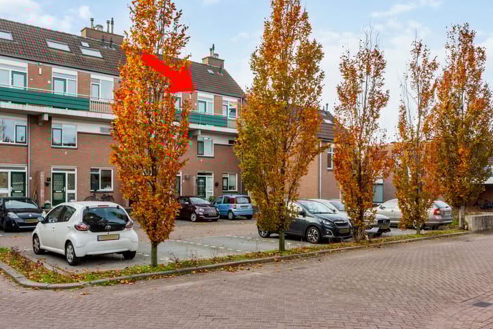 Photo 2 of Penningkruid 9