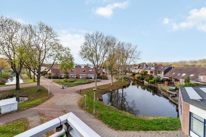 Foto 15 van Penningkruid 9