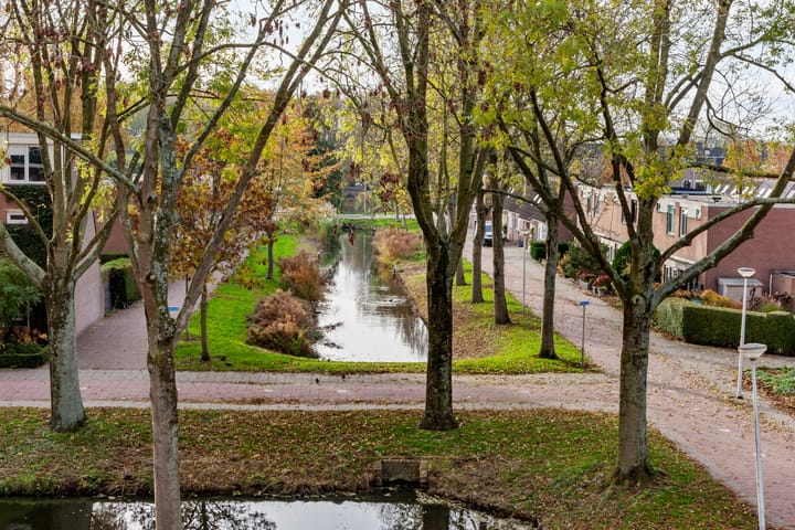 Foto 16 van Penningkruid 9