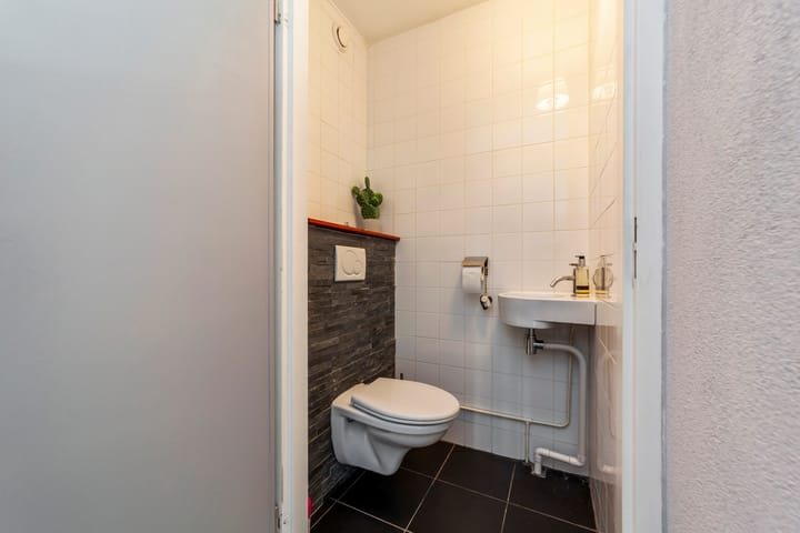 Foto 17 van Penningkruid 9