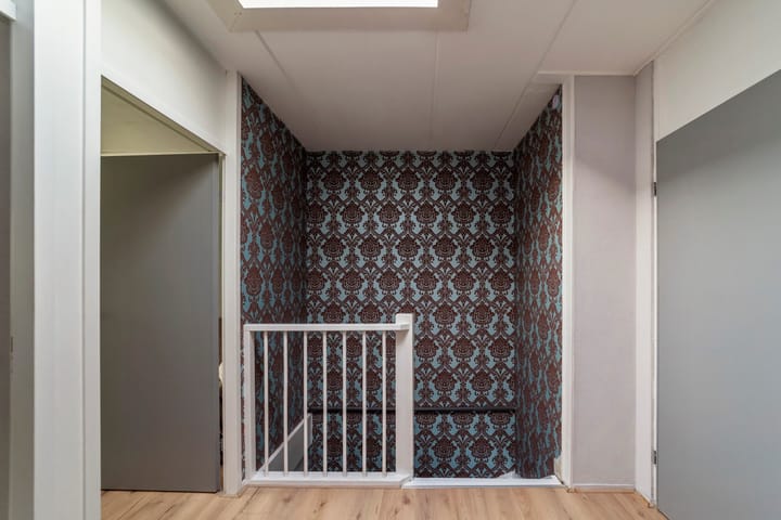 Foto 20 van Penningkruid 9