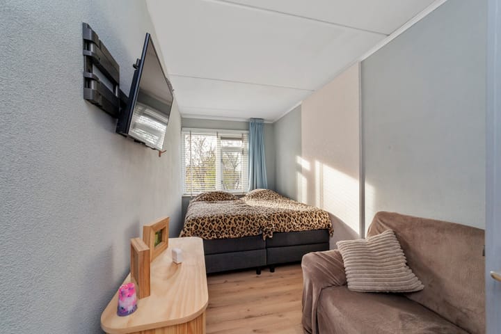 Foto 21 van Penningkruid 9