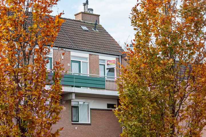 Foto 28 van Penningkruid 9