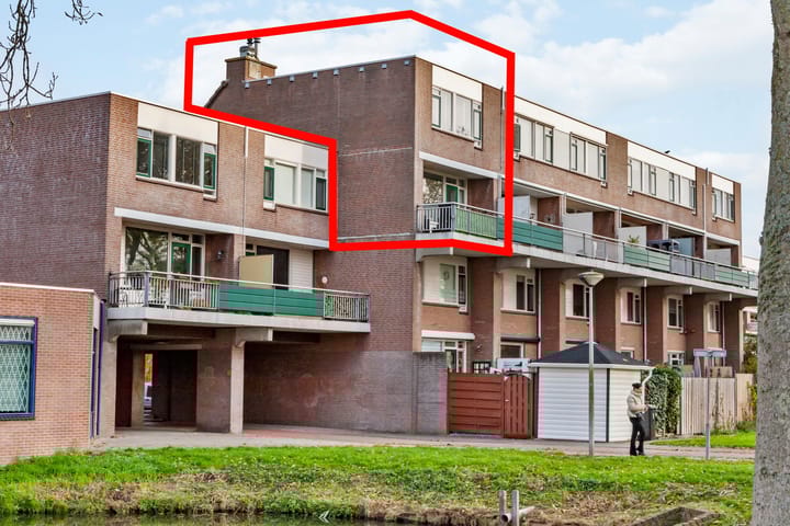 Foto 29 van Penningkruid 9