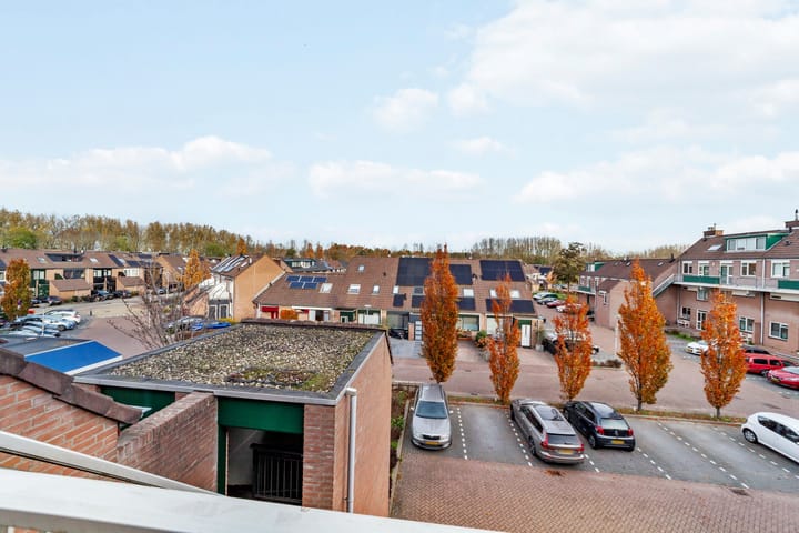 Foto 30 van Penningkruid 9