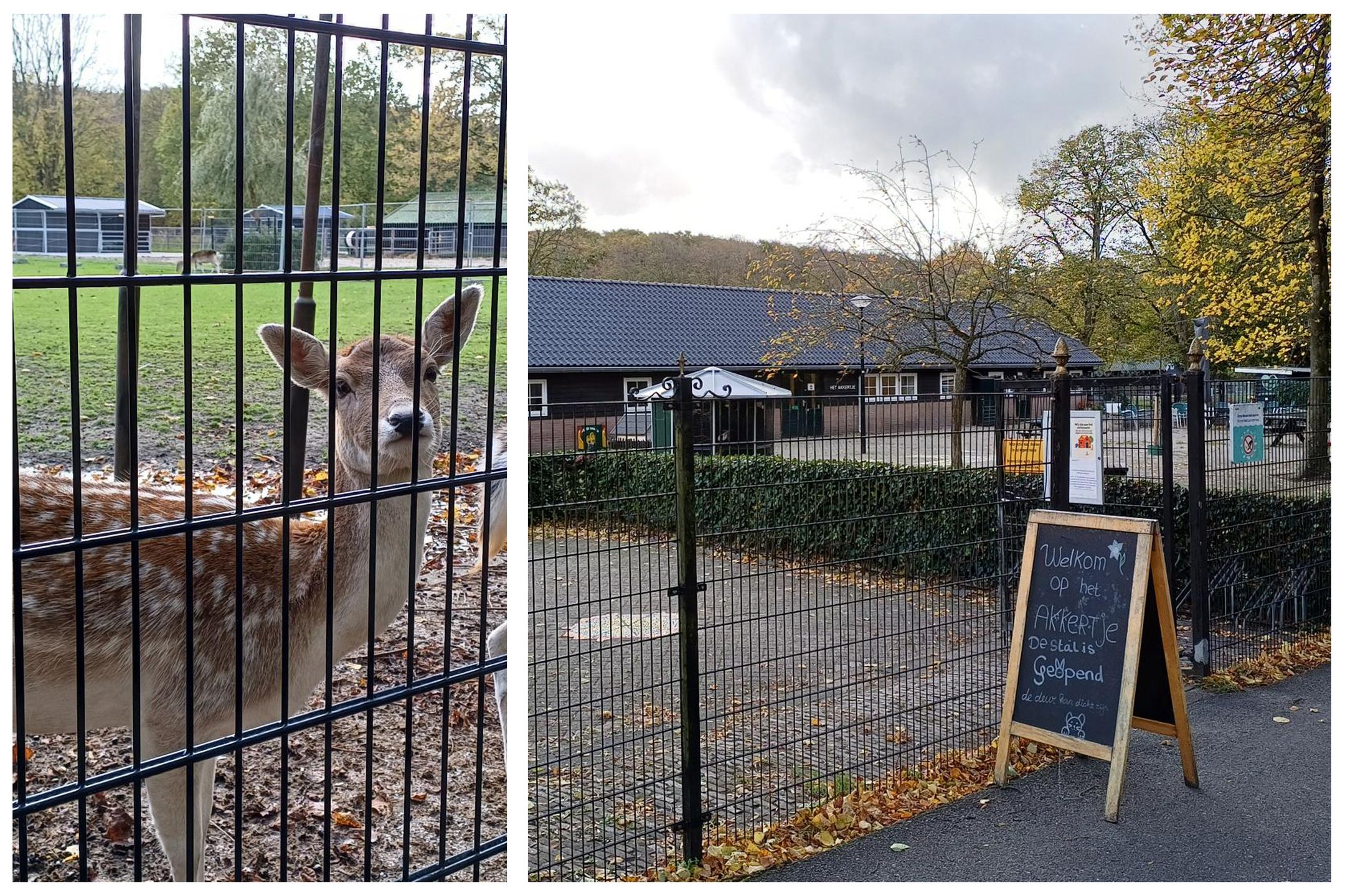 Foto 27 van Steenlaan 5