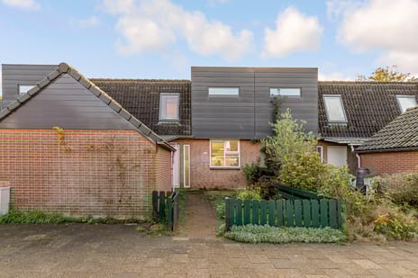 undefined main image