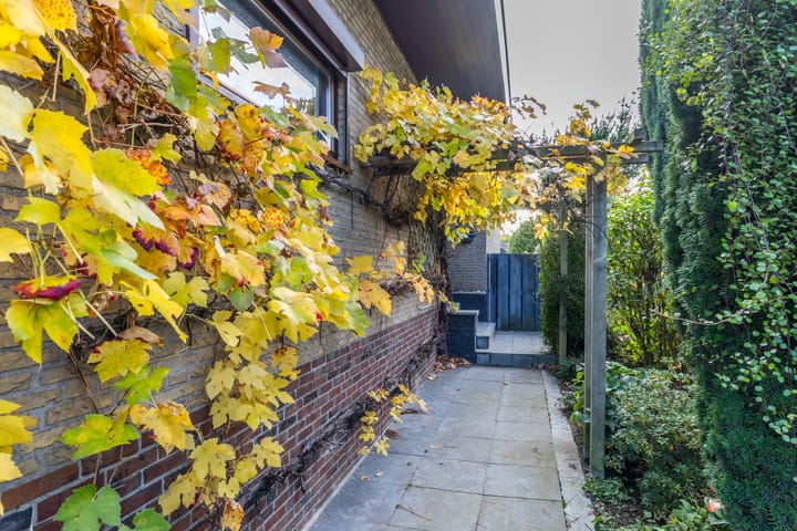 Foto 3 van Douvenderweg 18