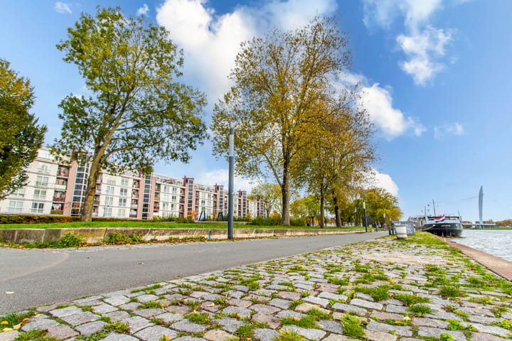 Foto 27 van Spaaklaan 37