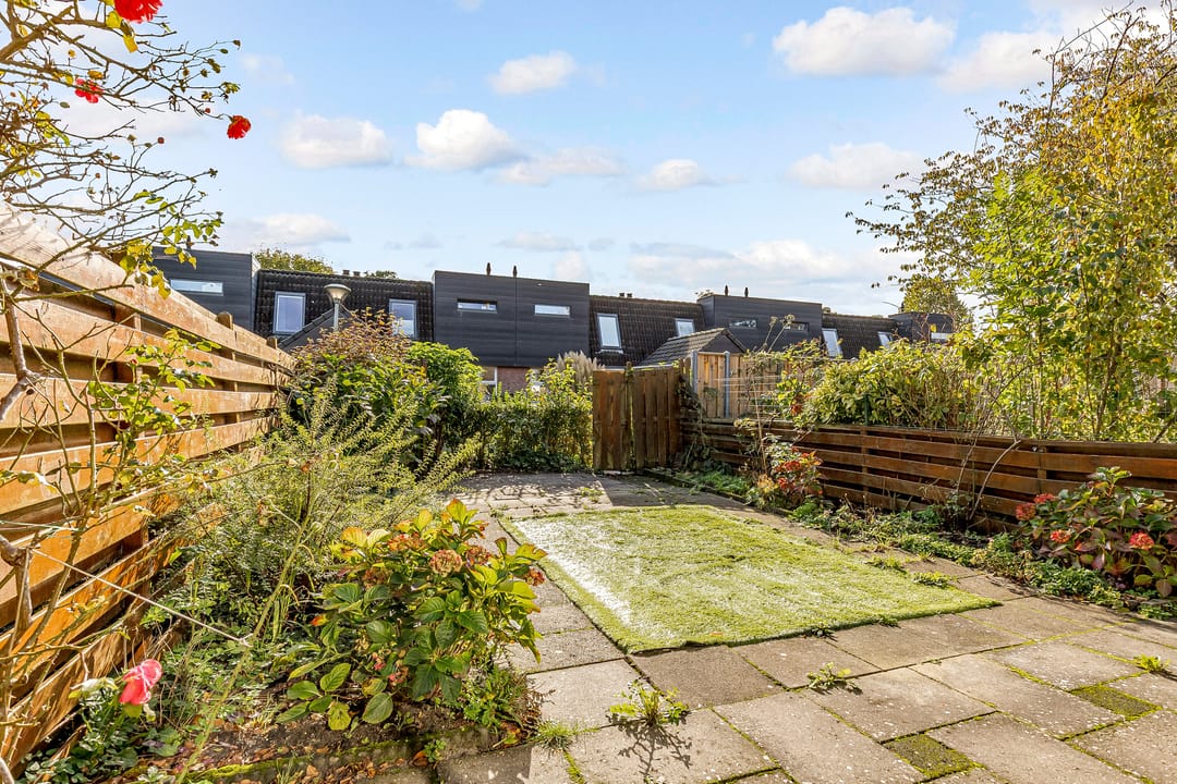 Foto 37 van Leemwierde 172