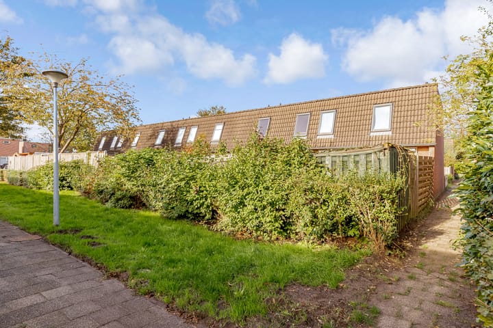 Foto 39 van Leemwierde 172