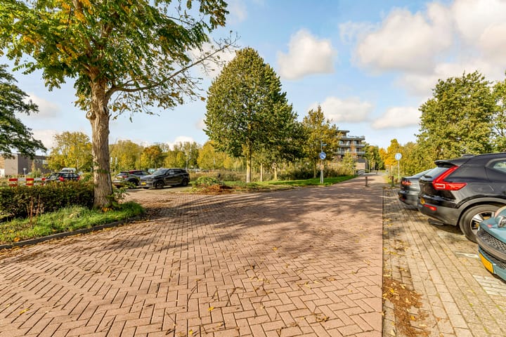 Foto 46 van Leemwierde 172