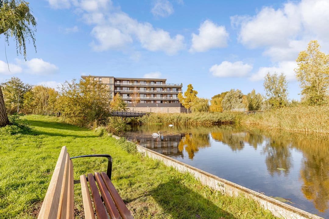 Foto 47 van Leemwierde 172