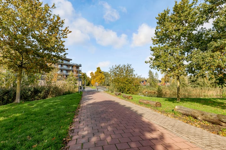 Foto 48 van Leemwierde 172