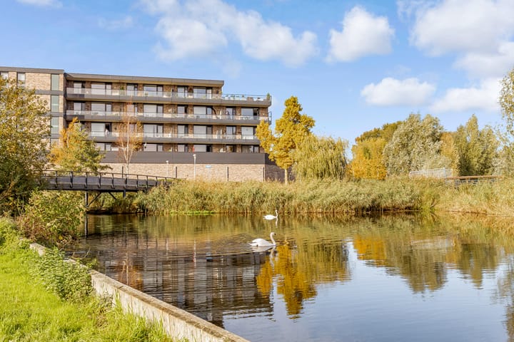 Foto 49 van Leemwierde 172