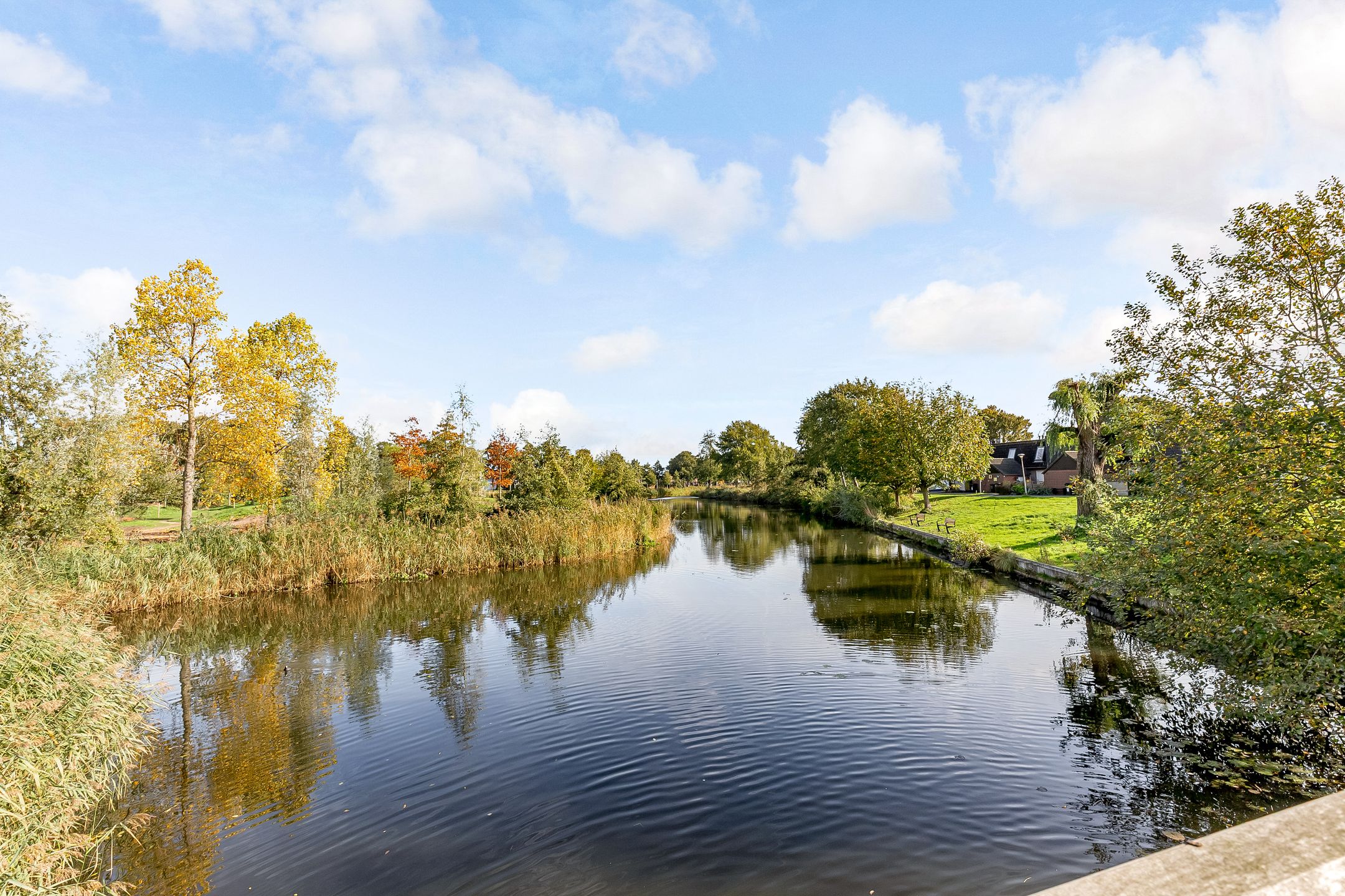 Foto 51 van Leemwierde 172