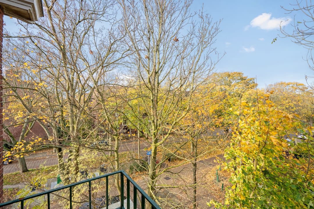 Foto 13 van Jozef Israëlslaan 471