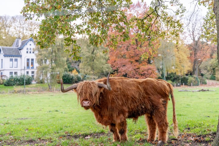 Photo 36 of J.F. Kennedylaan 91