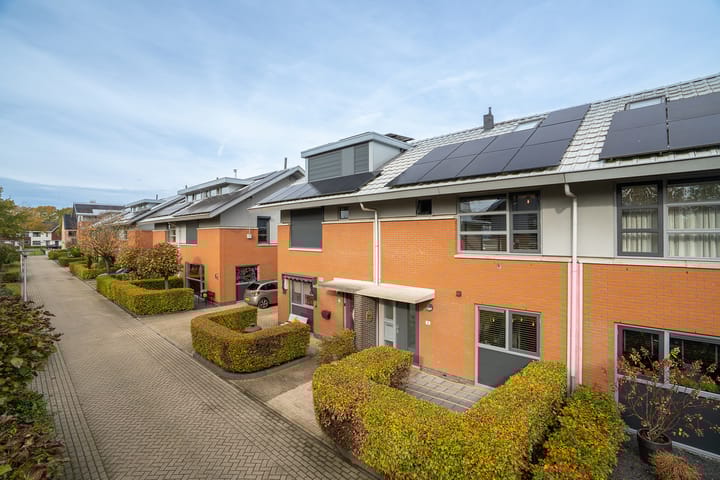 Foto 1 van Vogelvlinder 6