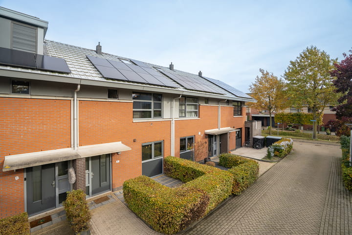 Foto 5 van Vogelvlinder 6