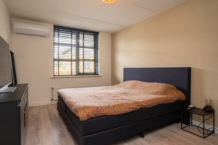 Foto 20 van Vogelvlinder 6