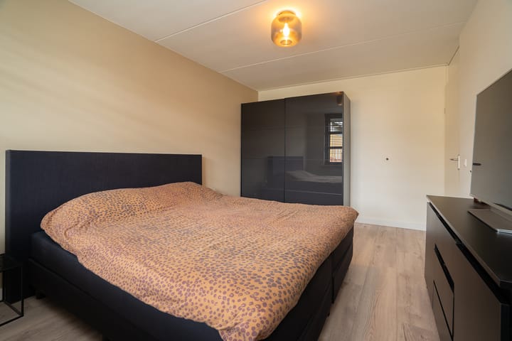 Foto 21 van Vogelvlinder 6