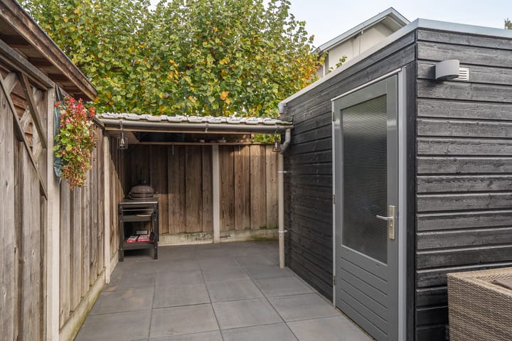 Foto 38 van Vogelvlinder 6