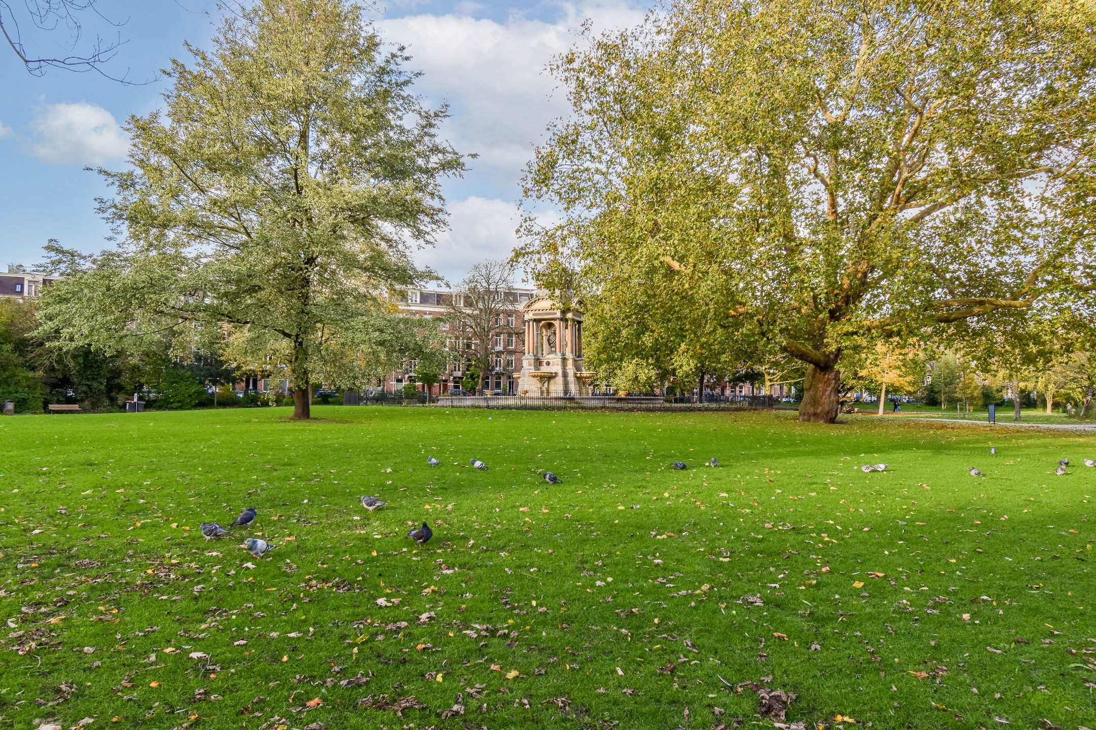 Foto 15 van Hemonystraat 17-E