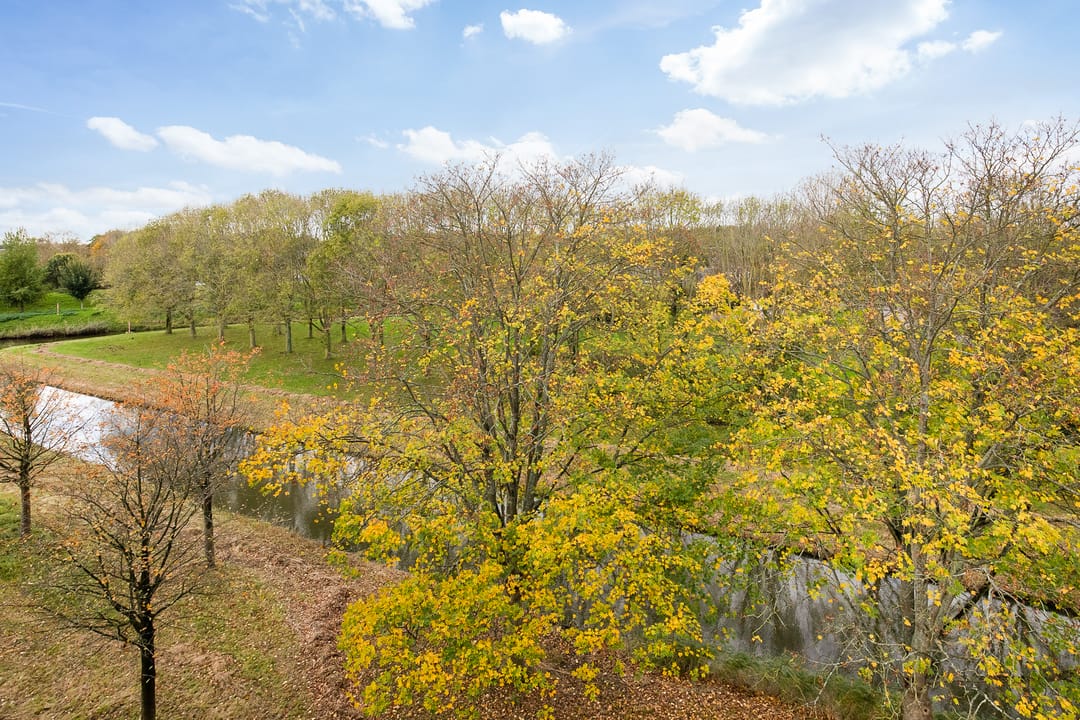 Foto 23 van Legmeerstraat 98