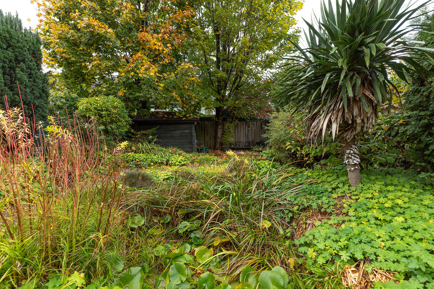 Foto 35 van Radiostraat 87