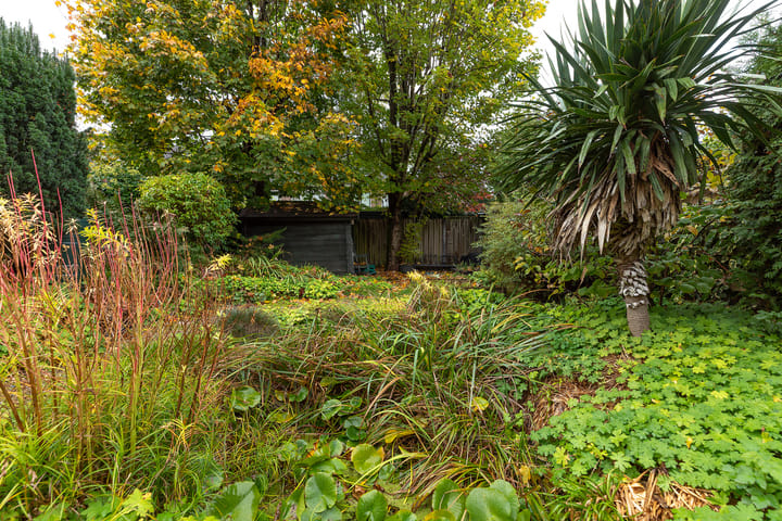 Foto 35 van Radiostraat 87