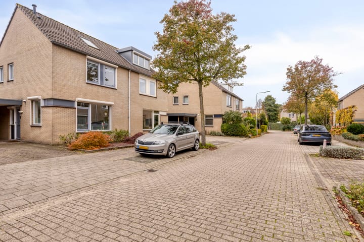 Foto 48 van Elvis Presleystraat 6