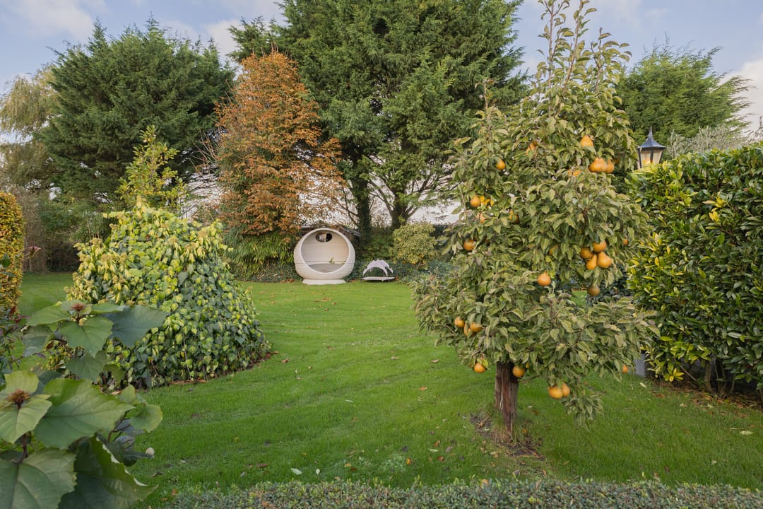 Foto 47 van Hartweg 8