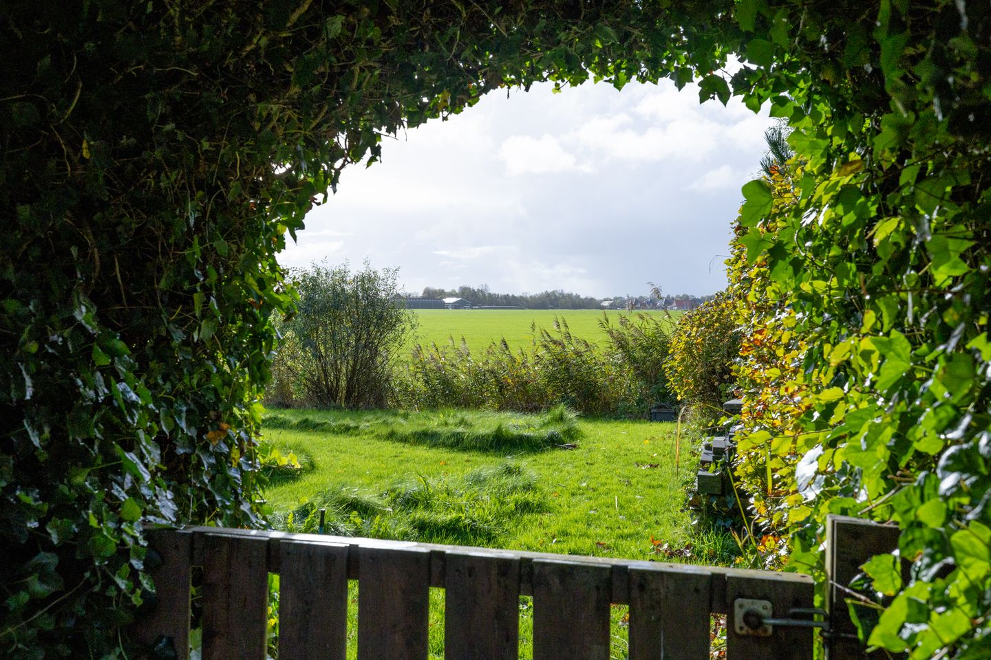 Foto 50 van Hartweg 8