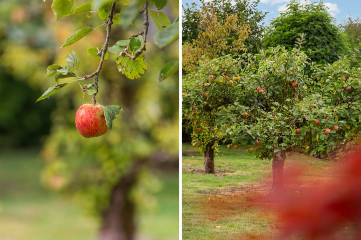 Photo 49 of Middelsluissedijk WZ 47