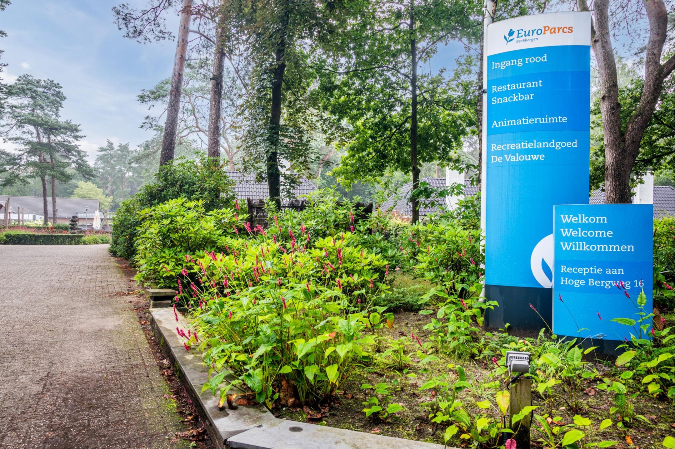 Foto 39 van Lage Bergweg 31-Q7