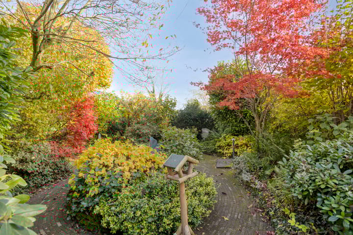 Foto 41 van Bosberg 29