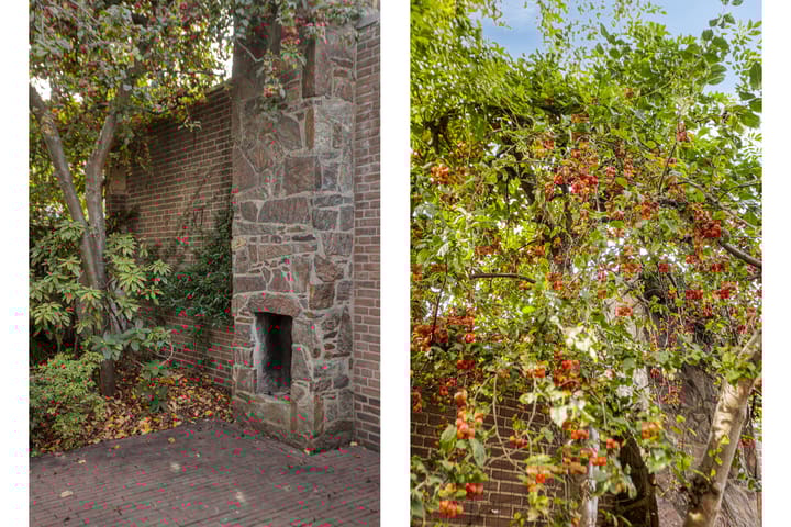 Photo 30 of Julianasingel 30