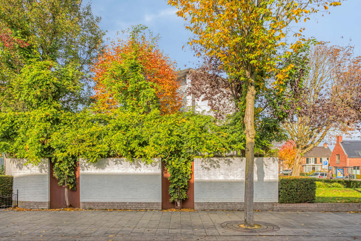 Photo 39 of Julianasingel 30