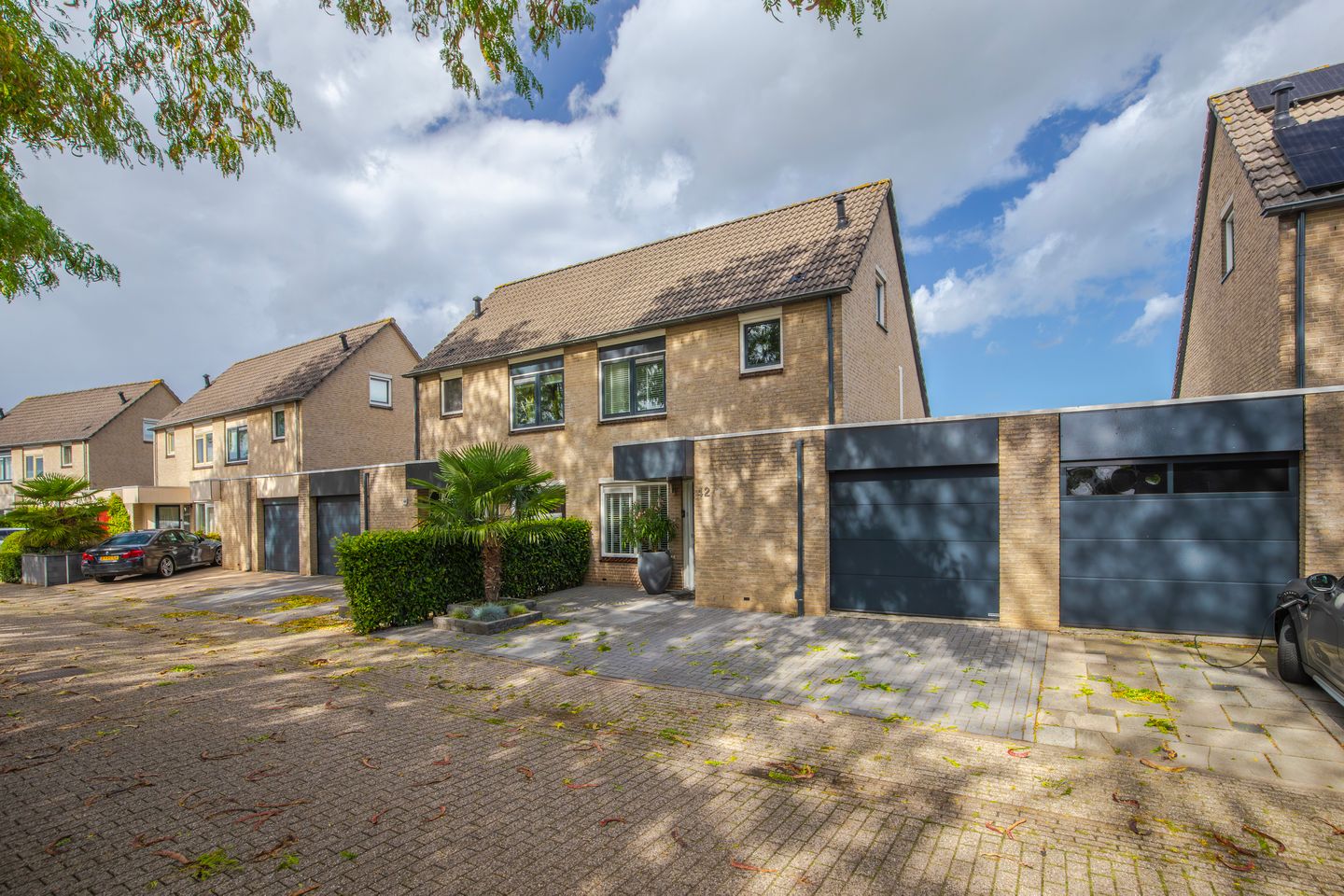 Foto 5 van Golden Delicious 42