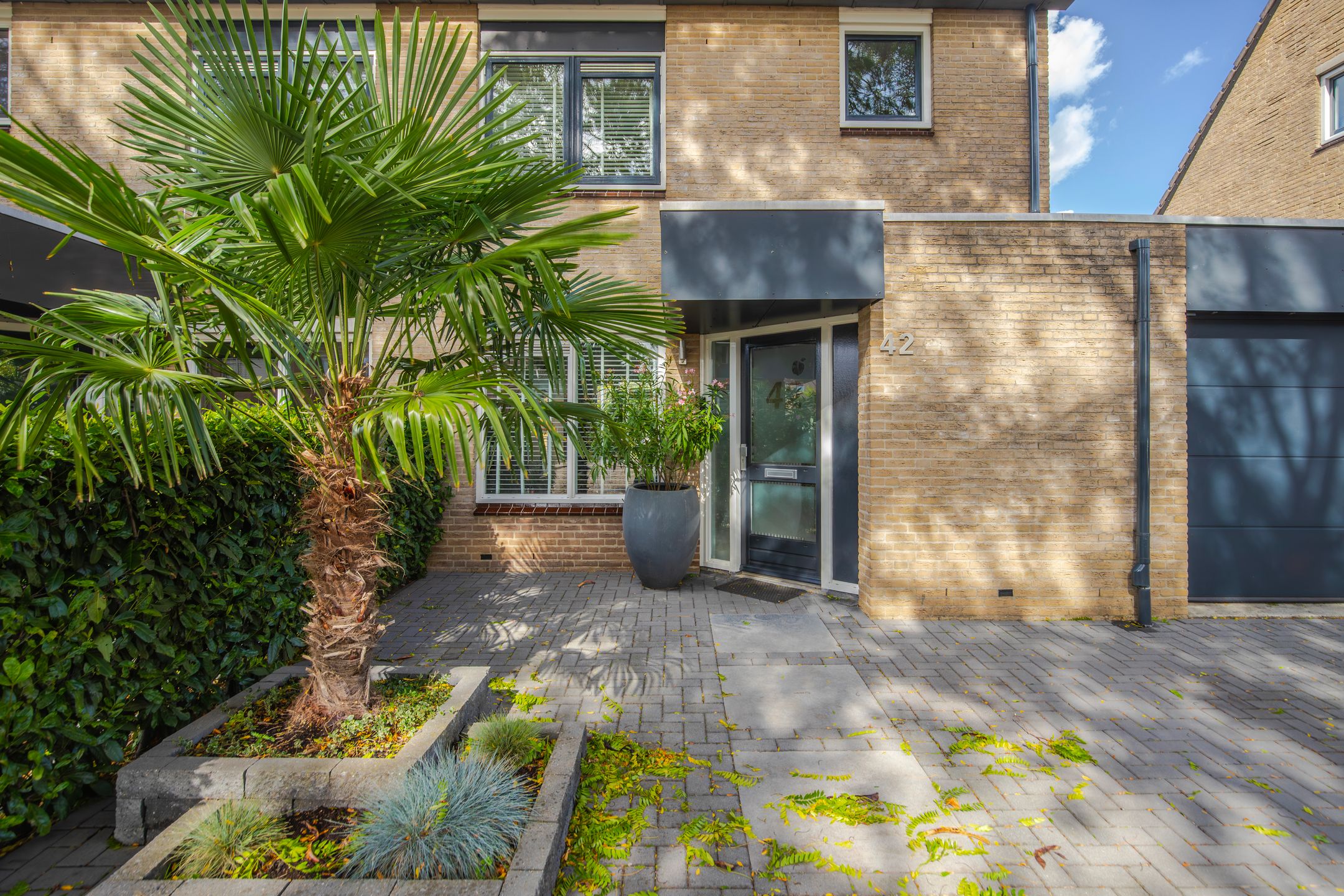 Foto 6 van Golden Delicious 42