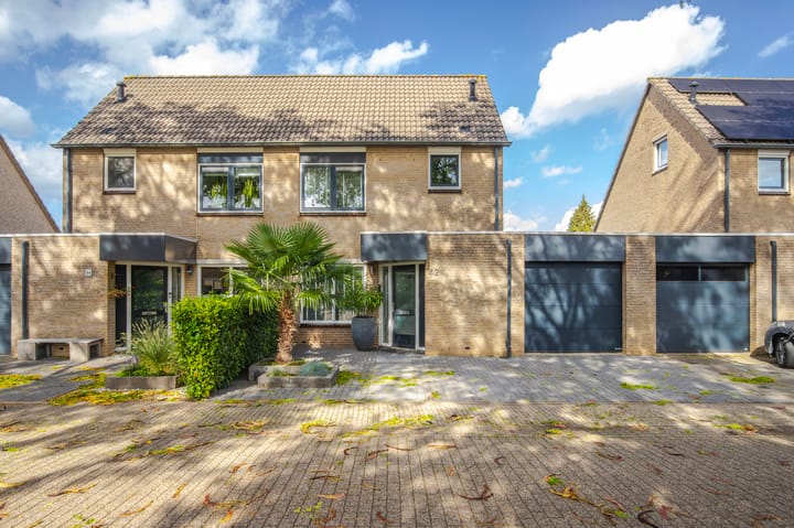 Foto 7 van Golden Delicious 42