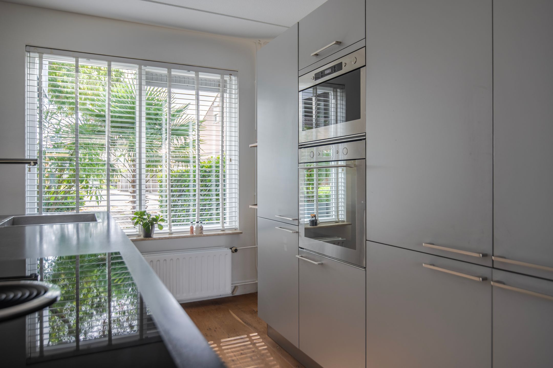 Foto 12 van Golden Delicious 42