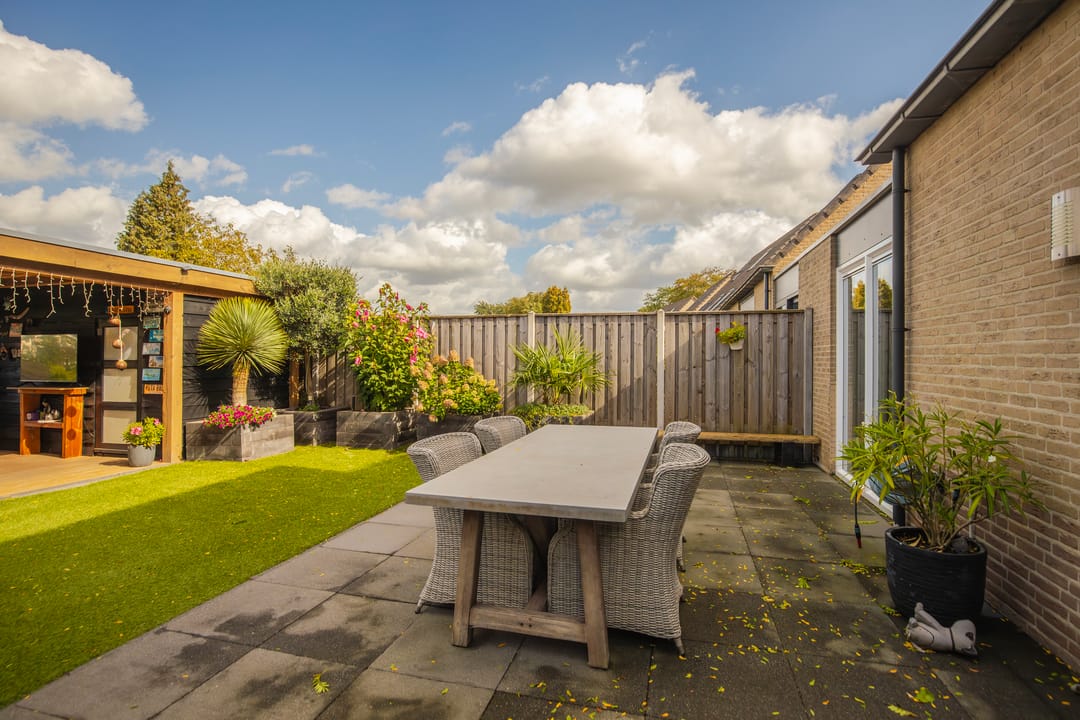 Foto 32 van Golden Delicious 42