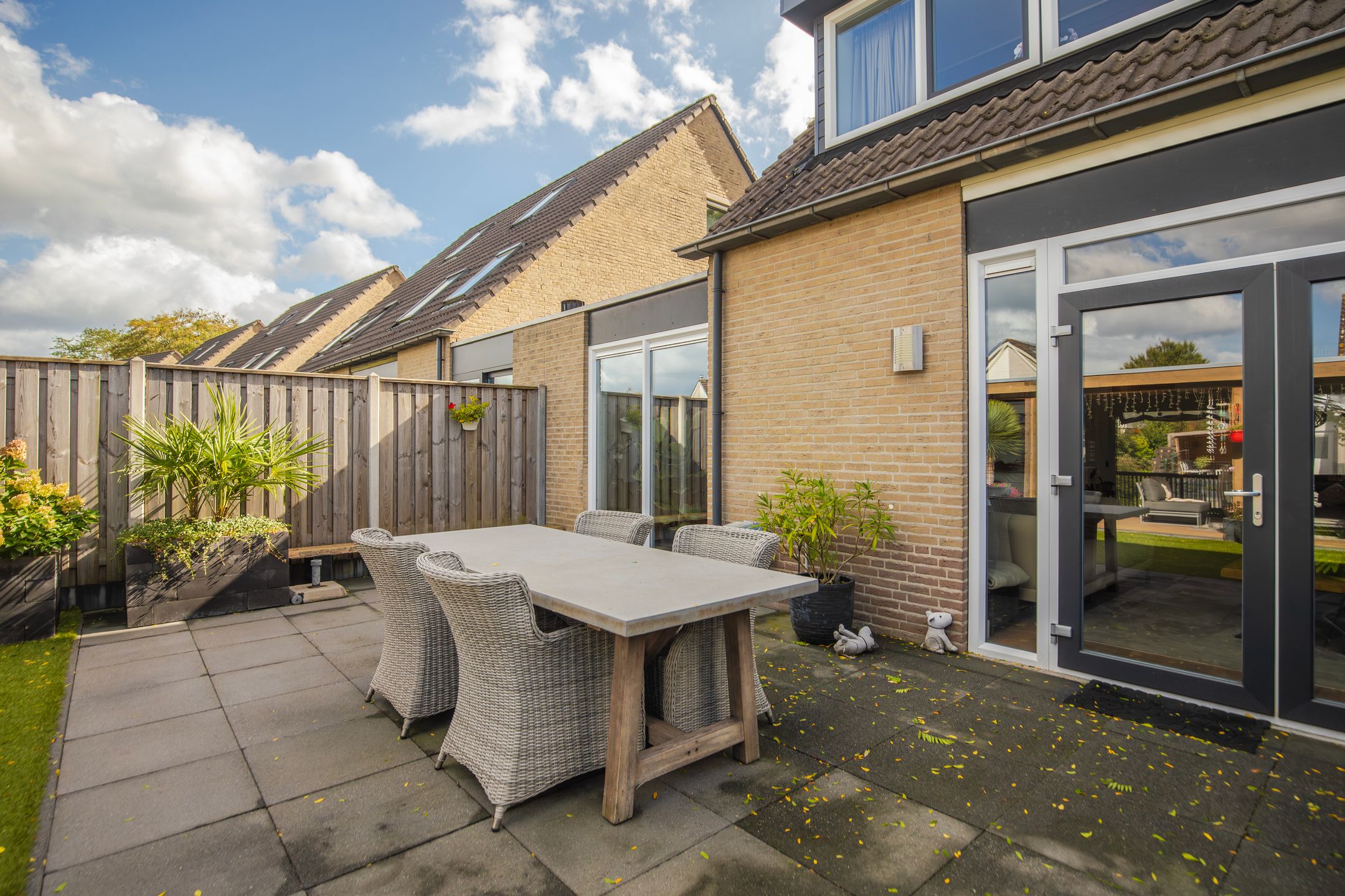 Foto 33 van Golden Delicious 42